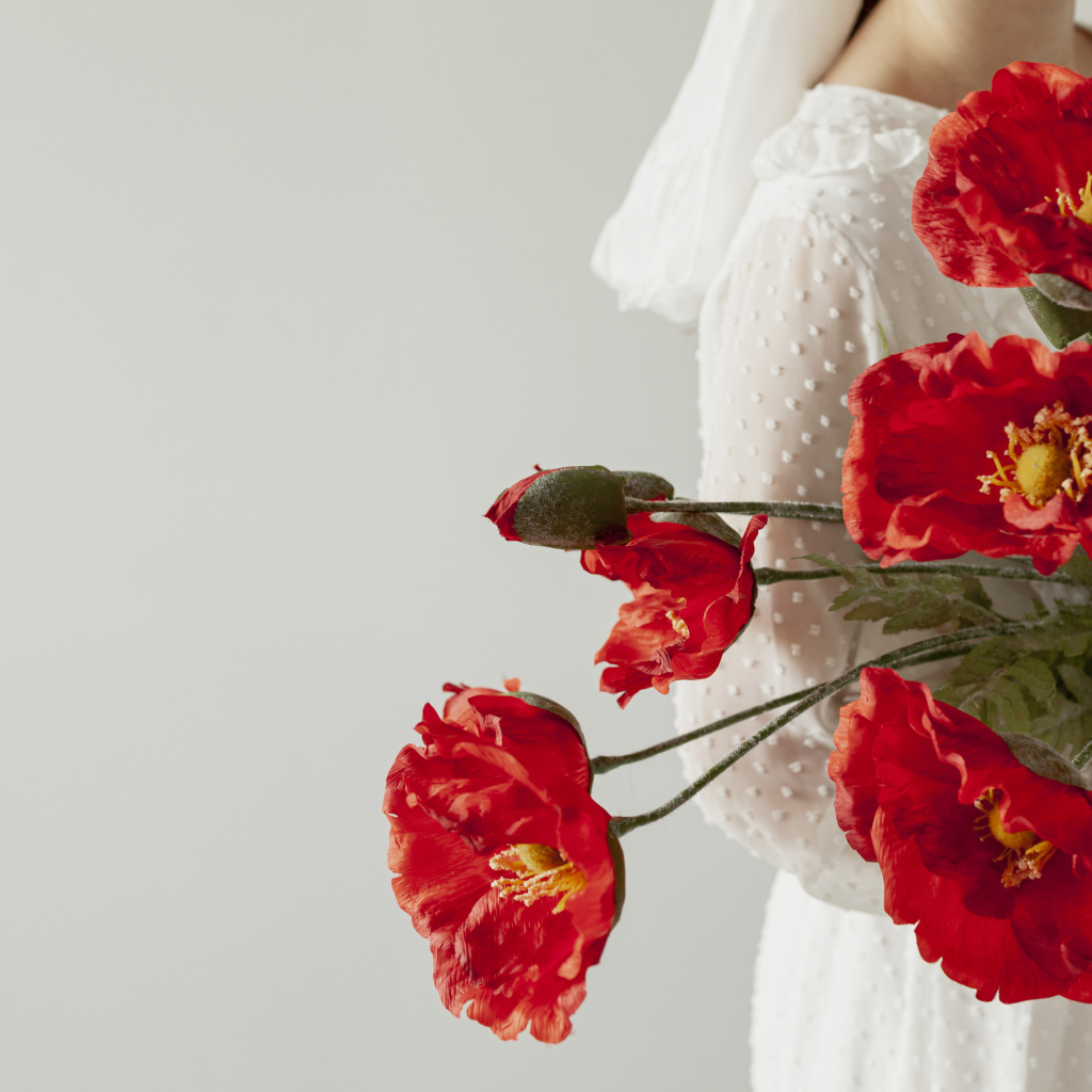 Красные маки в руках у девушки
