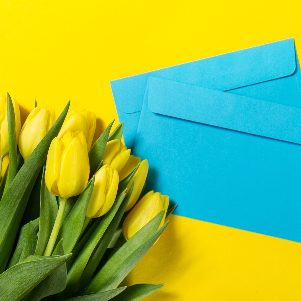 Два синих конверта с тюльпанами на желтом фоне