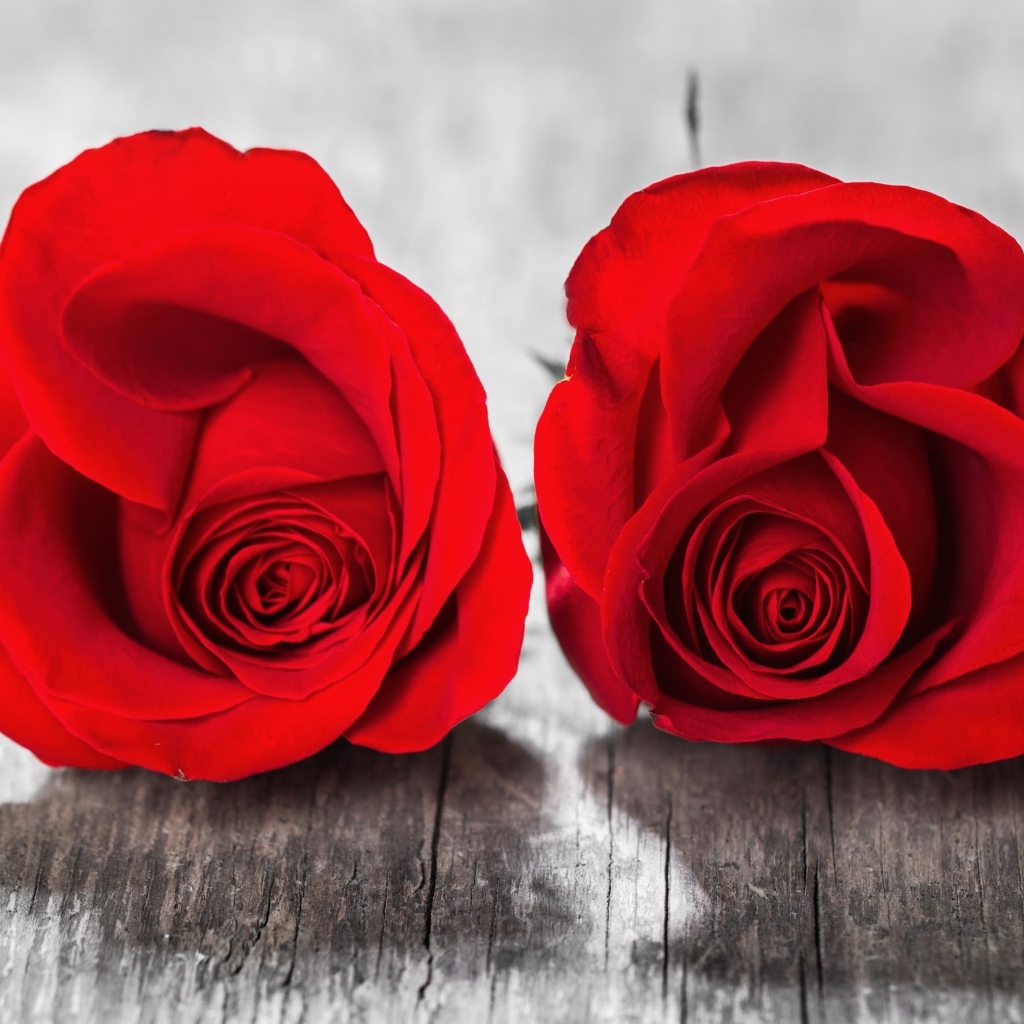 Две красные розы на деревянном столе