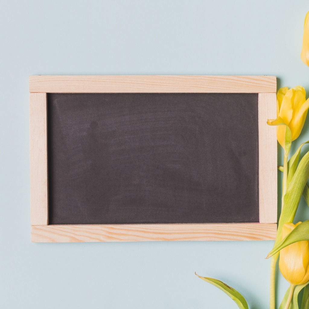 Желтые тюльпаны с рамкой для фона на сером фоне