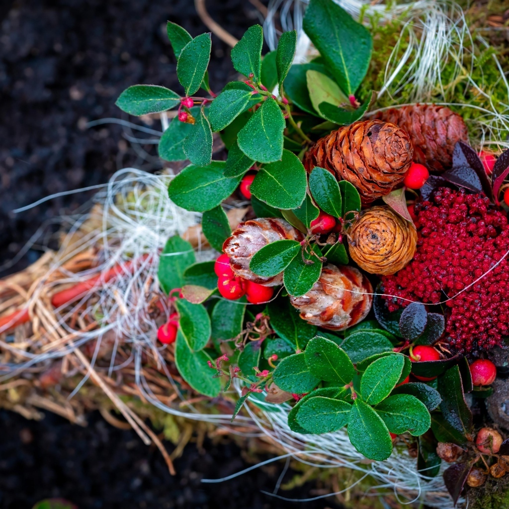Шишки с ветками и ягодами калины