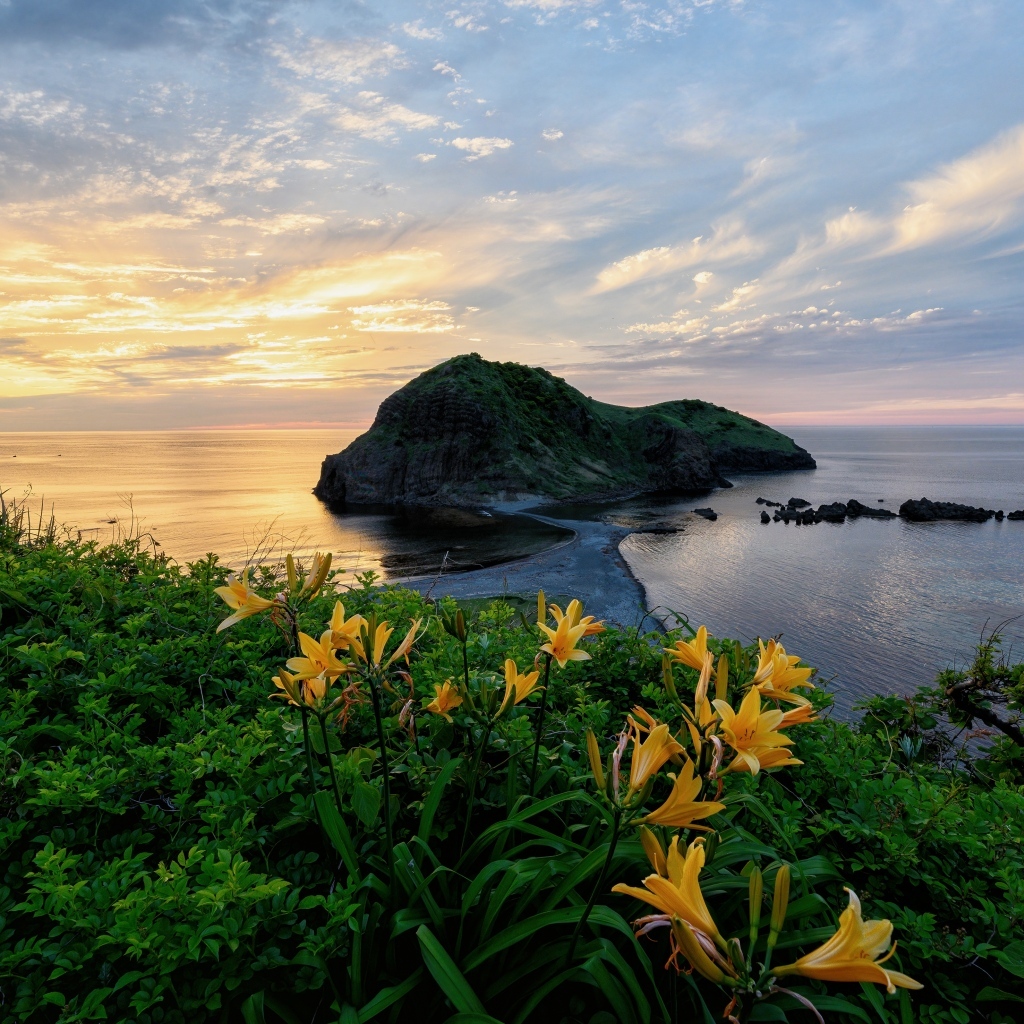 Зеленый остров в океане на закате солнца