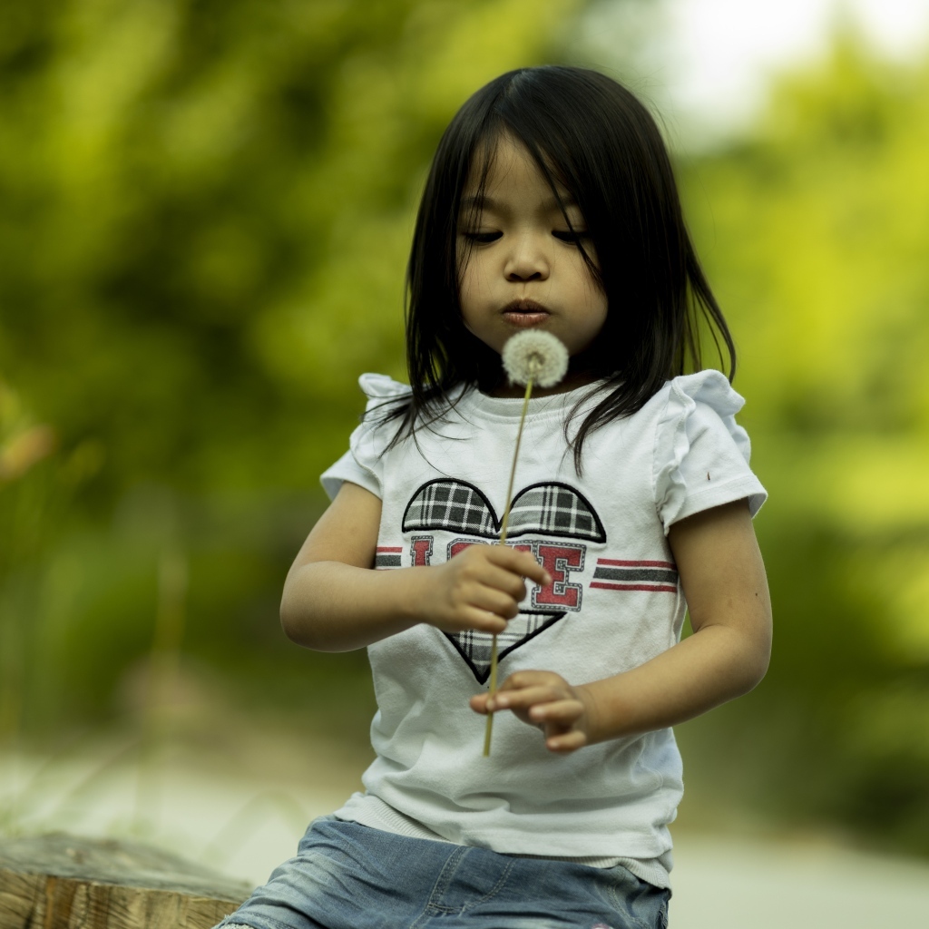 Маленькая девочка азиатка с одуванчиком в руках