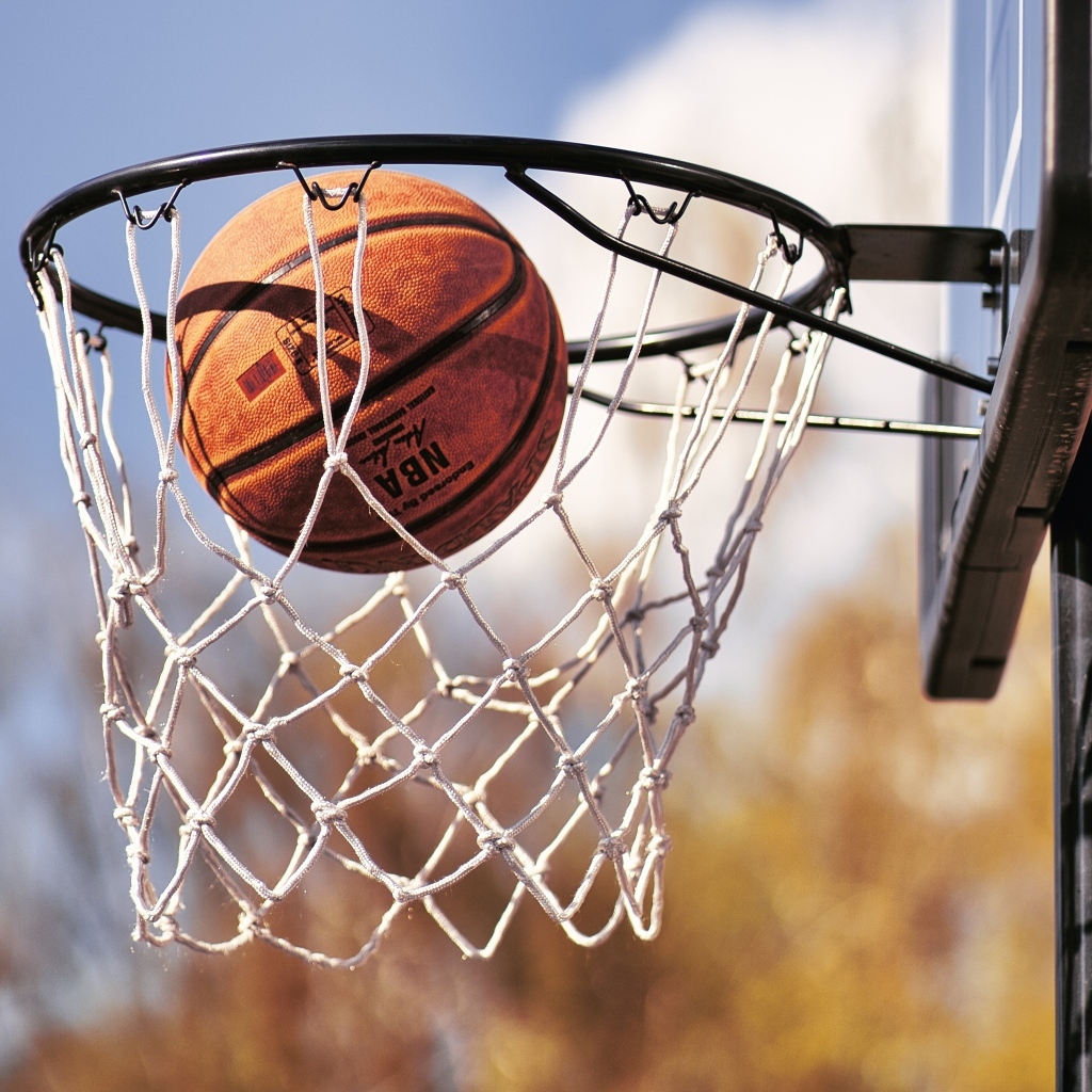 Баскетбольное кольцо с кожаным мячом 