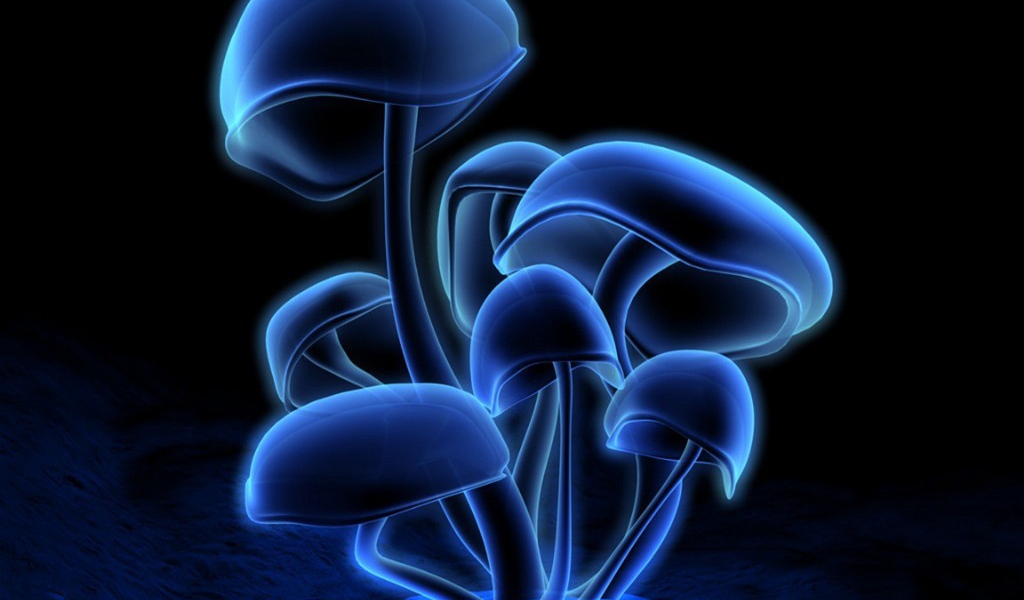 3D обои грибы