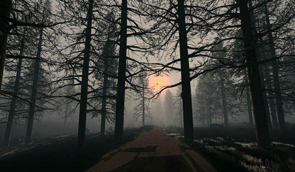 Обои на рабочий стол В Лесу