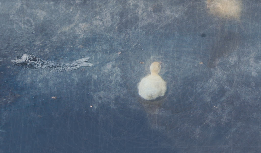 Одиночество 3 D обои