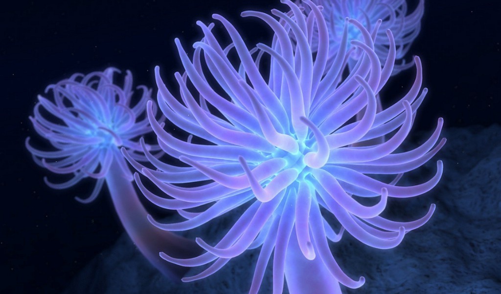 обои на рабочий стол 3D