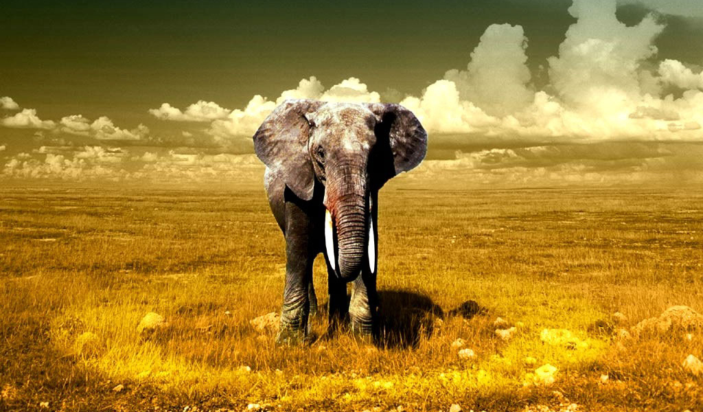 Гигантский слон