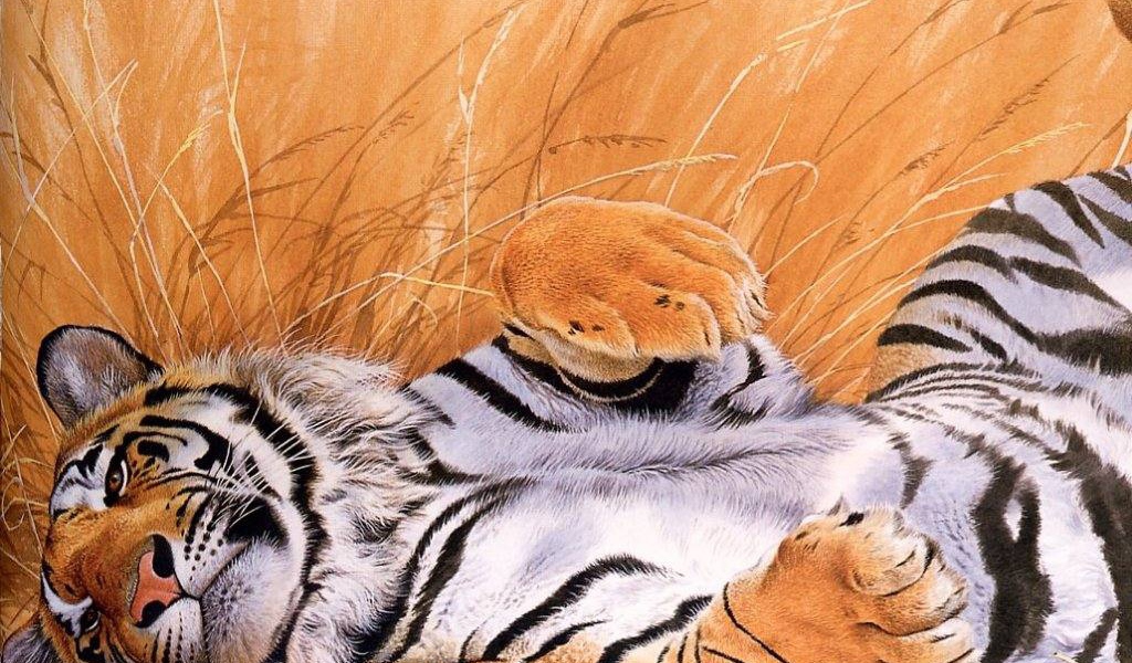 Тигр хищный зверь