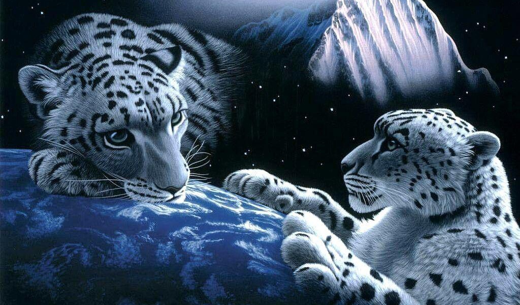 Белые леопарды