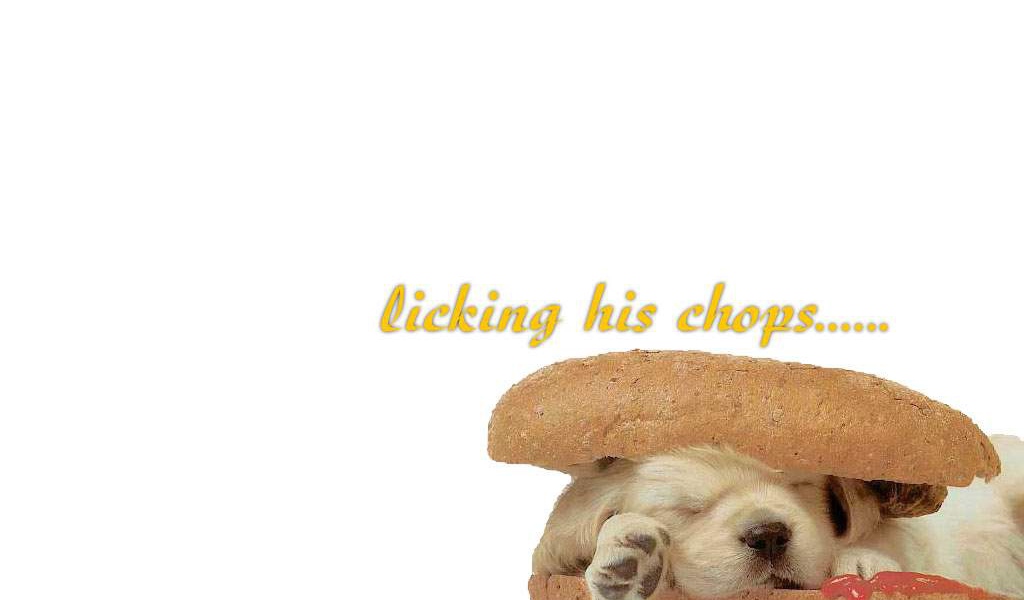 Спящий щенок