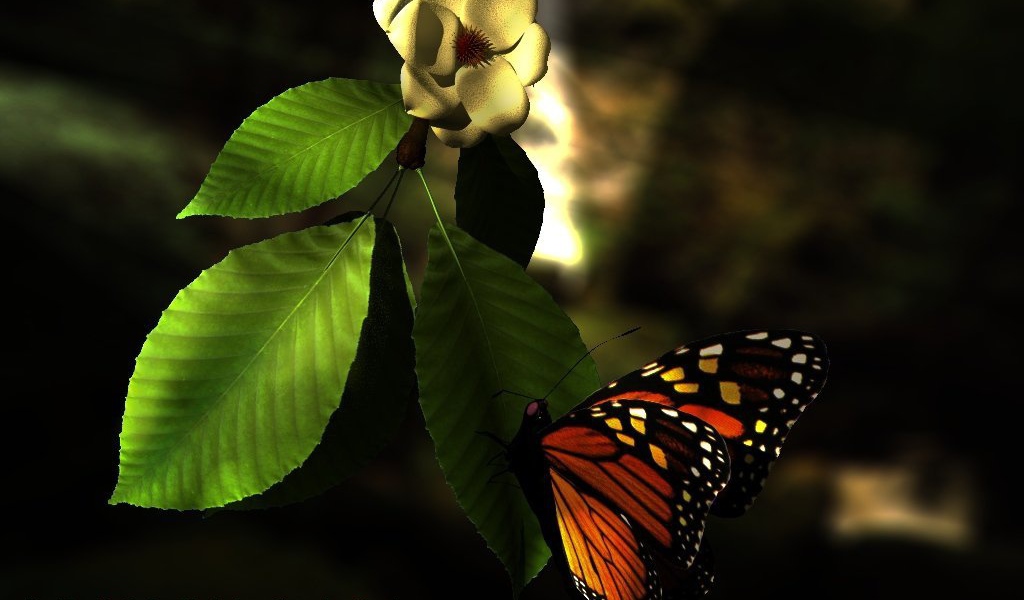 Лето бабочка