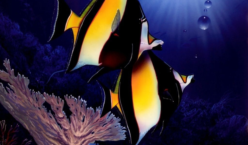 Две полосатые рыбы