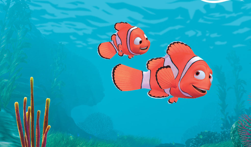 Немо рыба