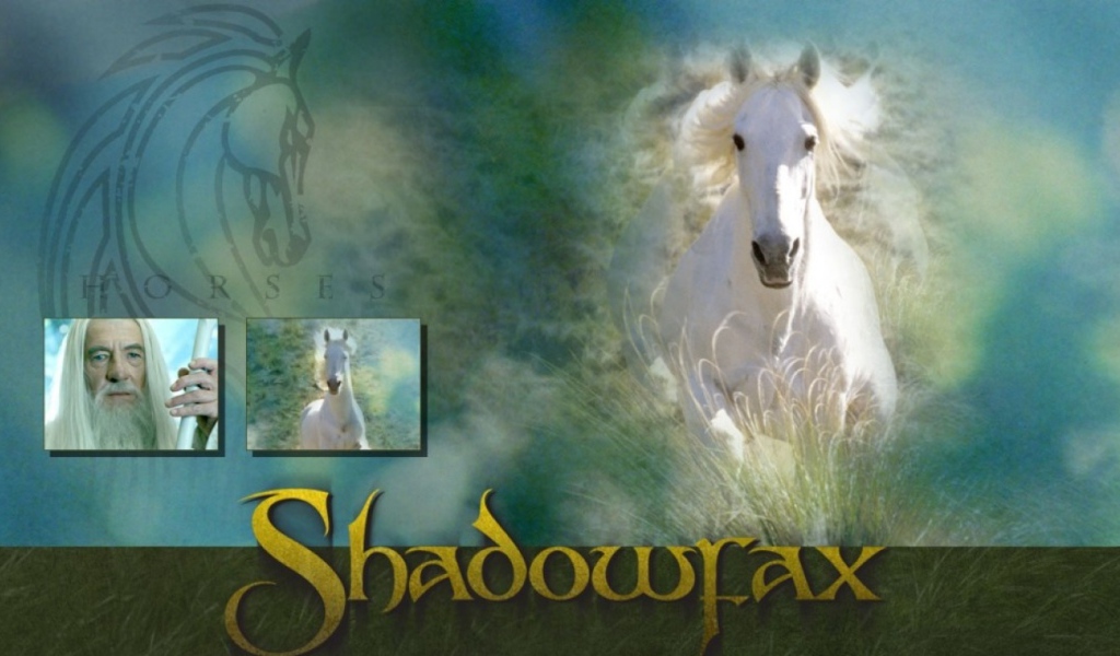 Властелин колец