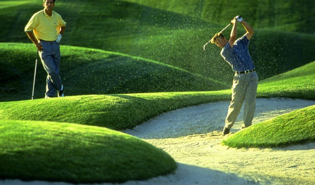 Игроки в гольф