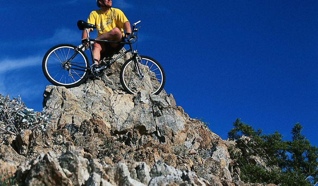 Спорт здоровье