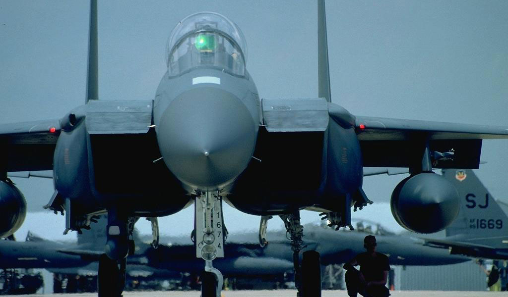 Крылатые воины