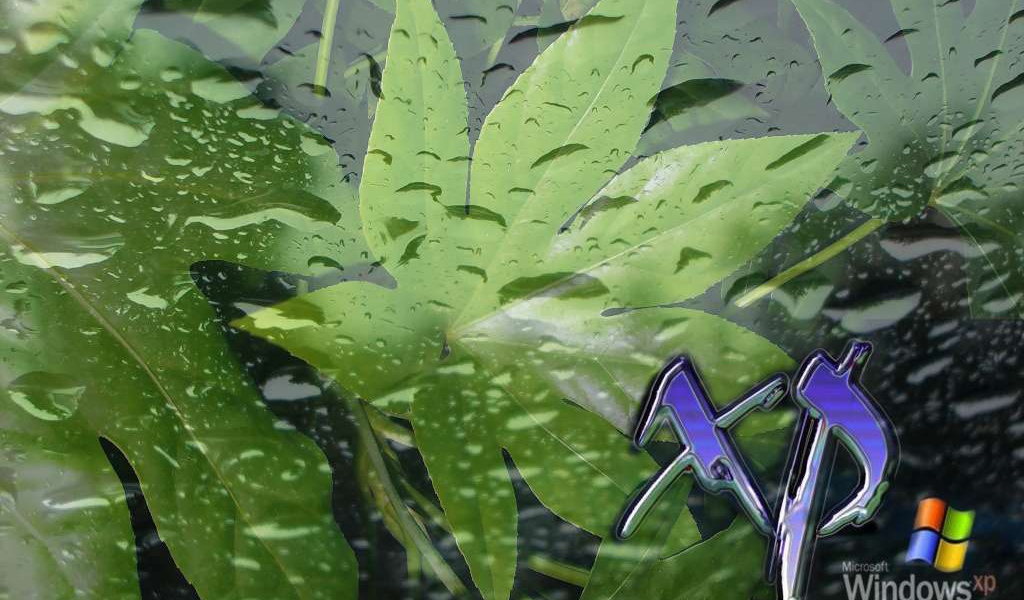 Тема Windows XP