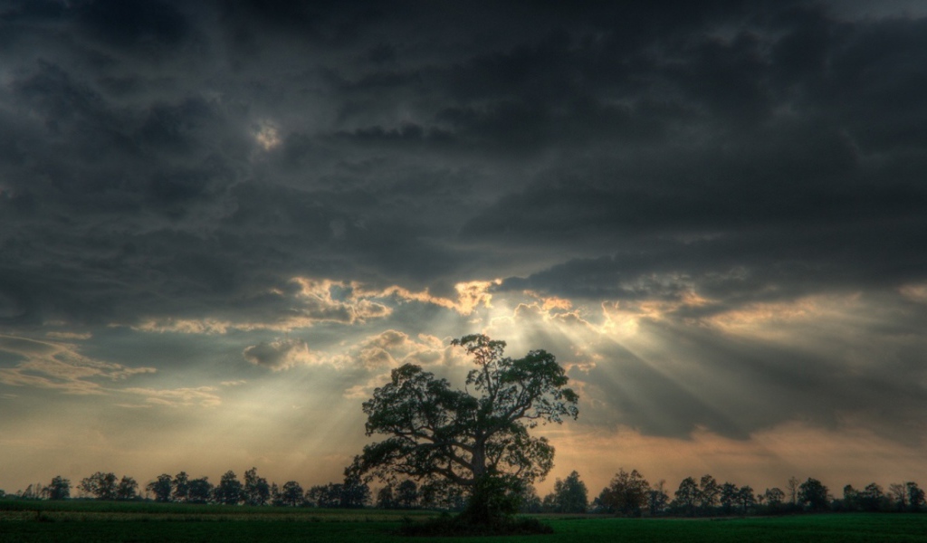 Перед  штормом