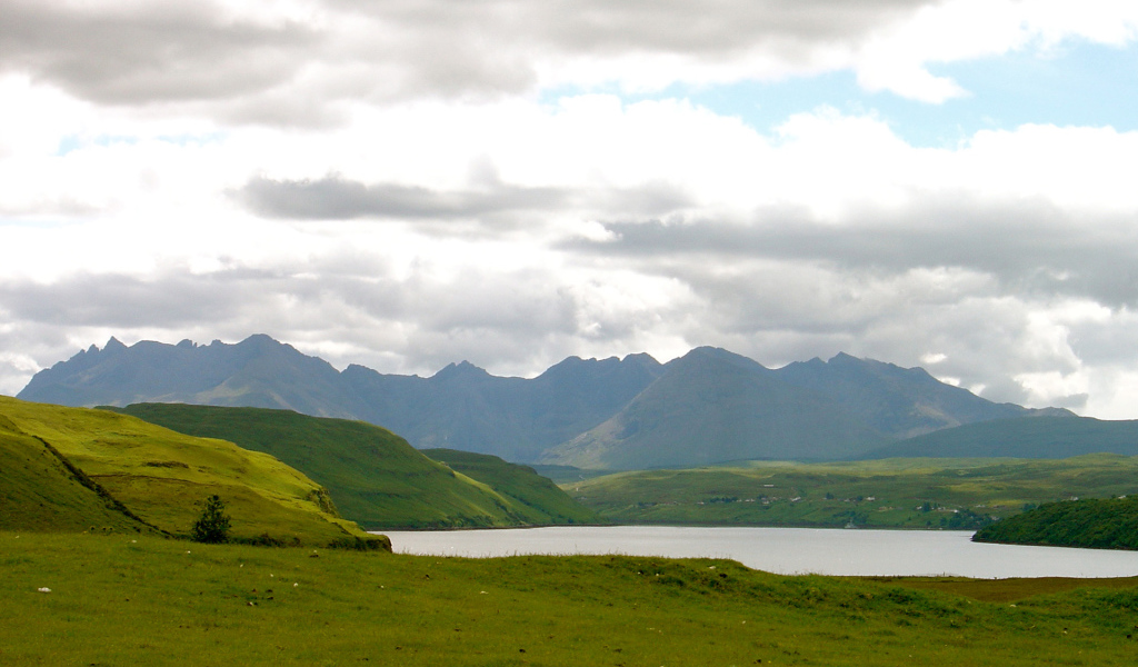 Зеленые поля