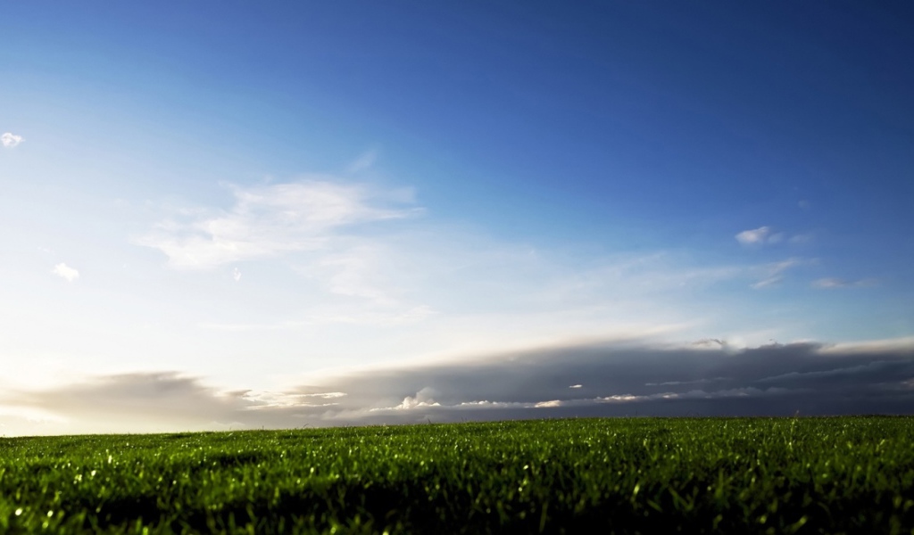 Зеленые поля Швеции