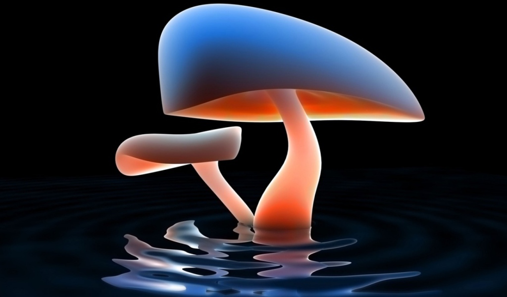 Грибное озеро