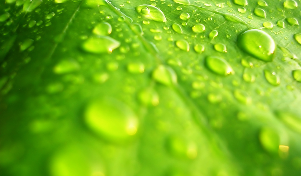 Windows Vista - обои на рабочий стол