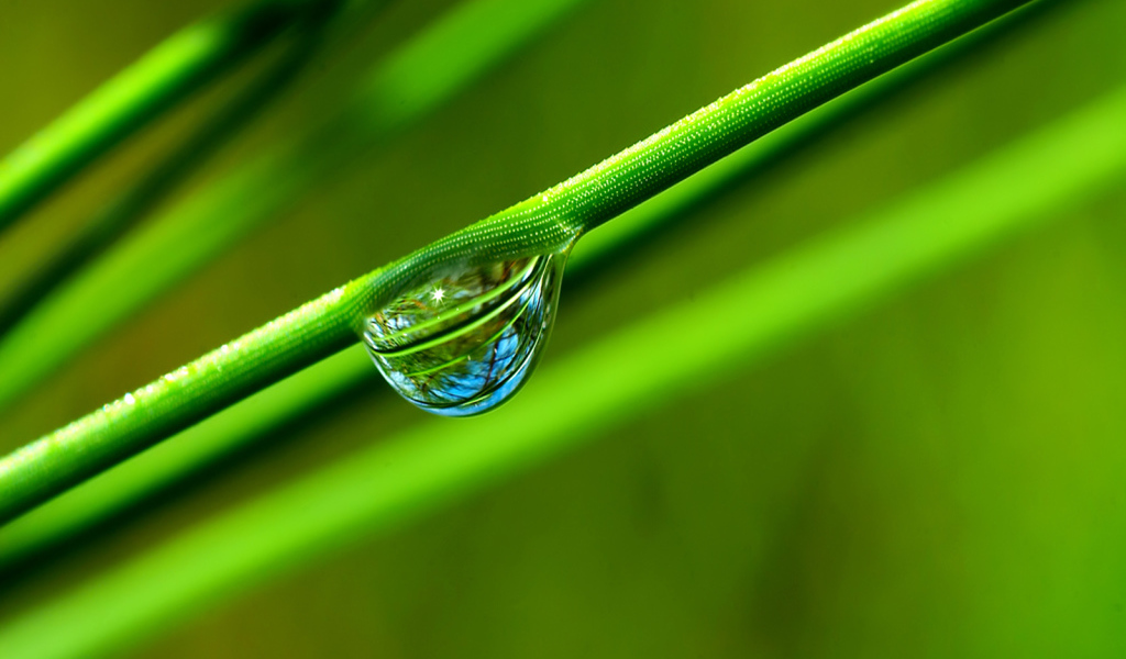 Windows Vista - обои на рабочий стол