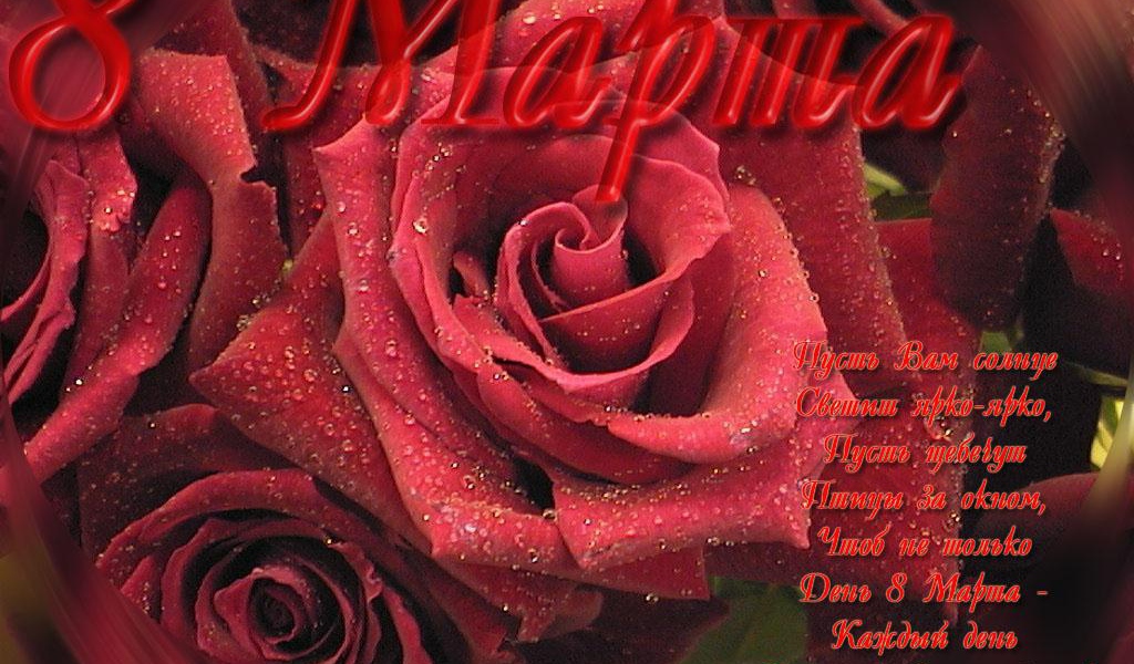 Красная роза Март 8