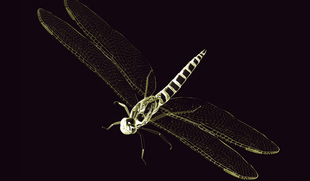 3D стрекоза