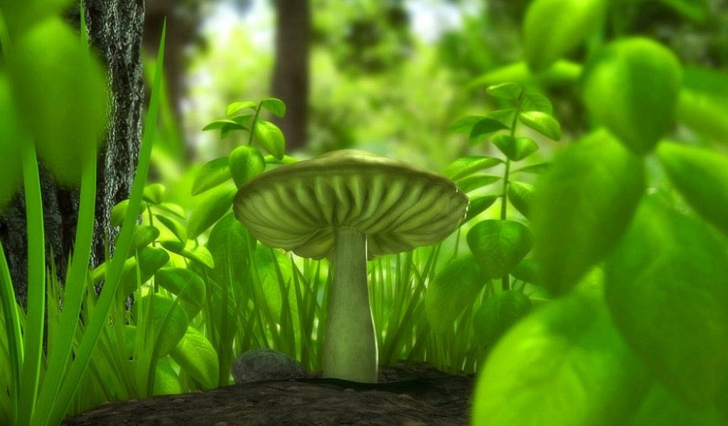 Зеленый гриб