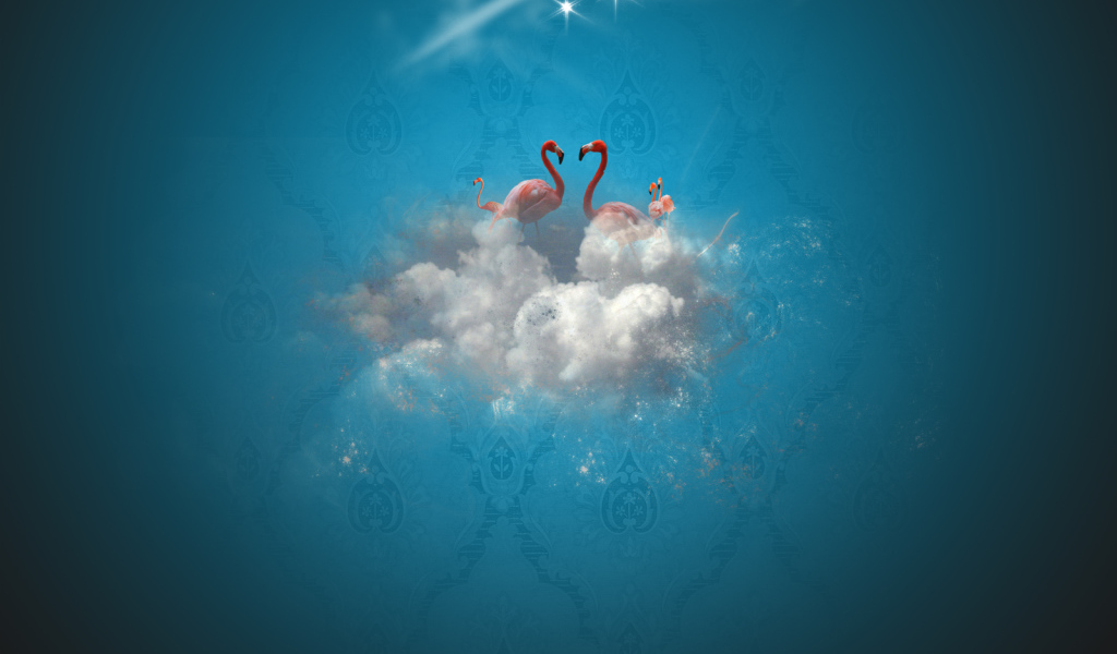 Рай фламинго