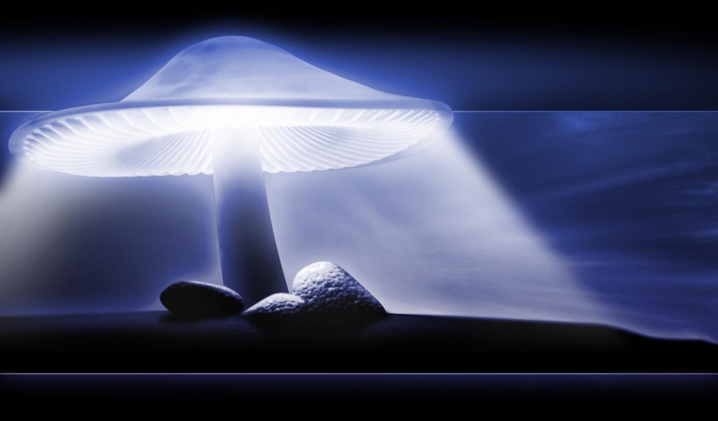 Защитный свет