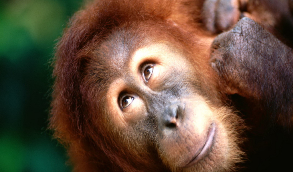 Взгляд вверх