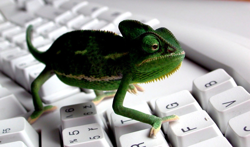 Зеленая рептилия - ящерица