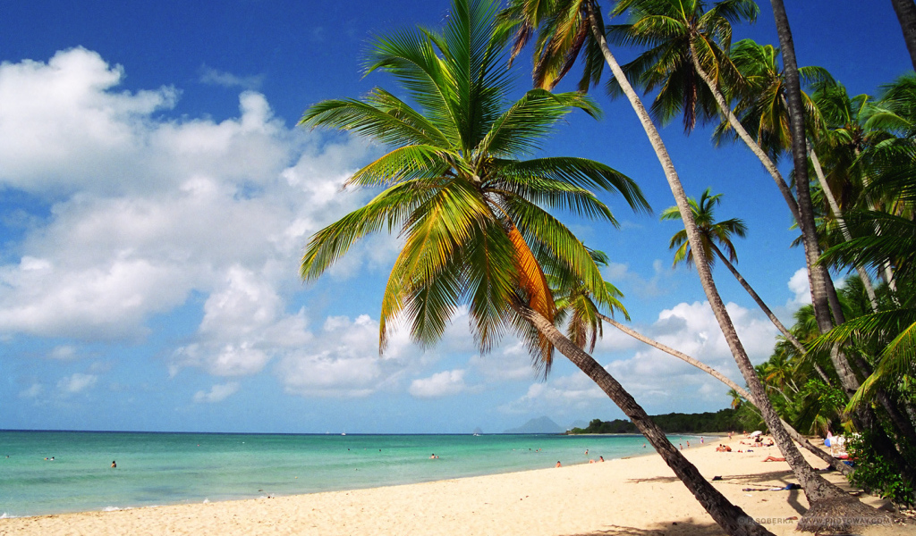 Пляж,пальмы