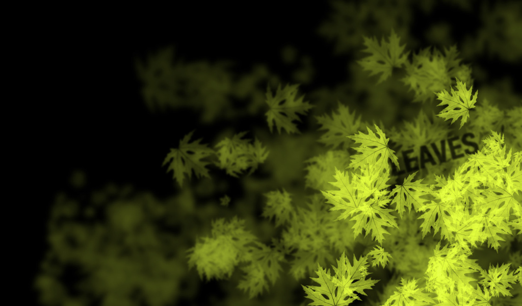 Кленовые листья