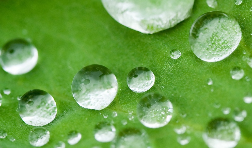 Капли, дождь