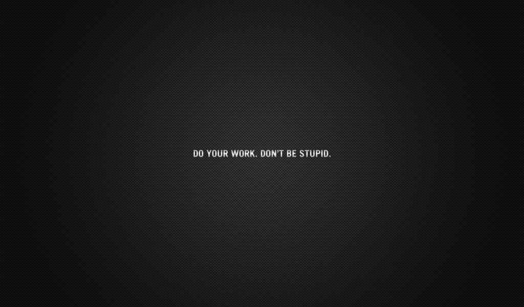 Не будь глупцом, делай свою работу