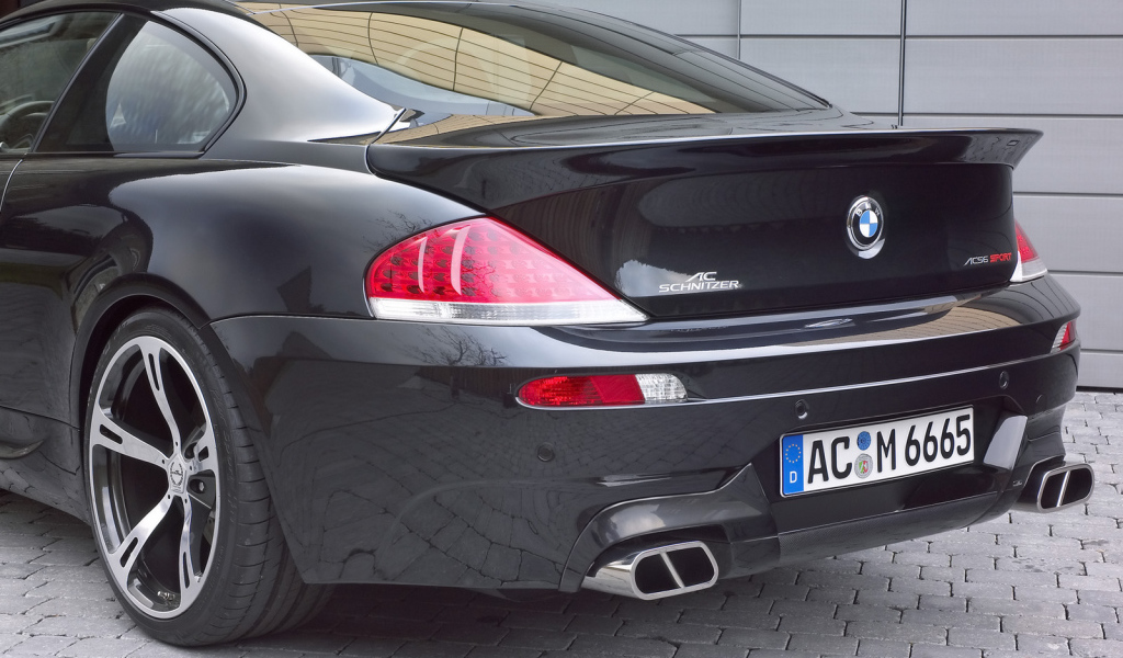 Schnitzer 2006 Вид сзади