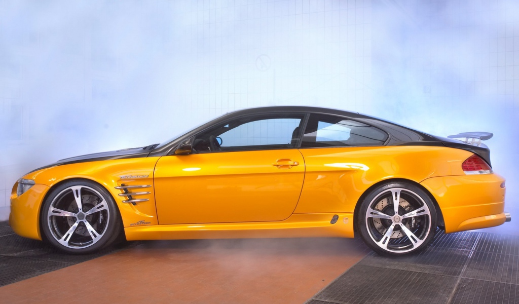 Schnitzer желто черный вид сбоку