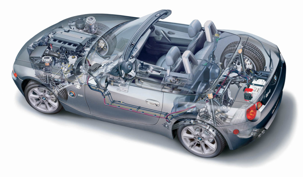 Z4 Organic рисунок