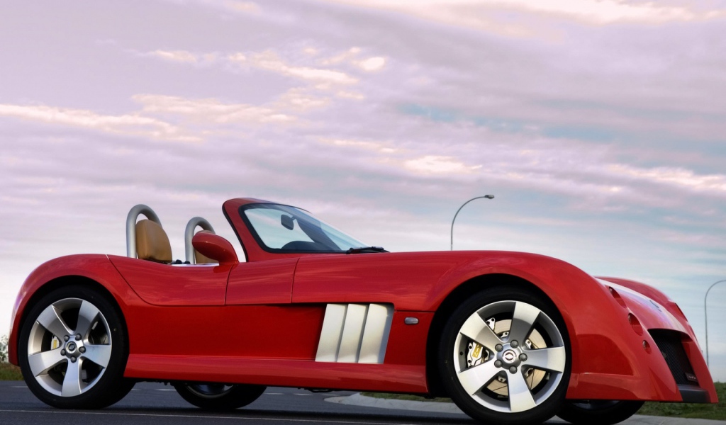 Красный спортивный Elfin