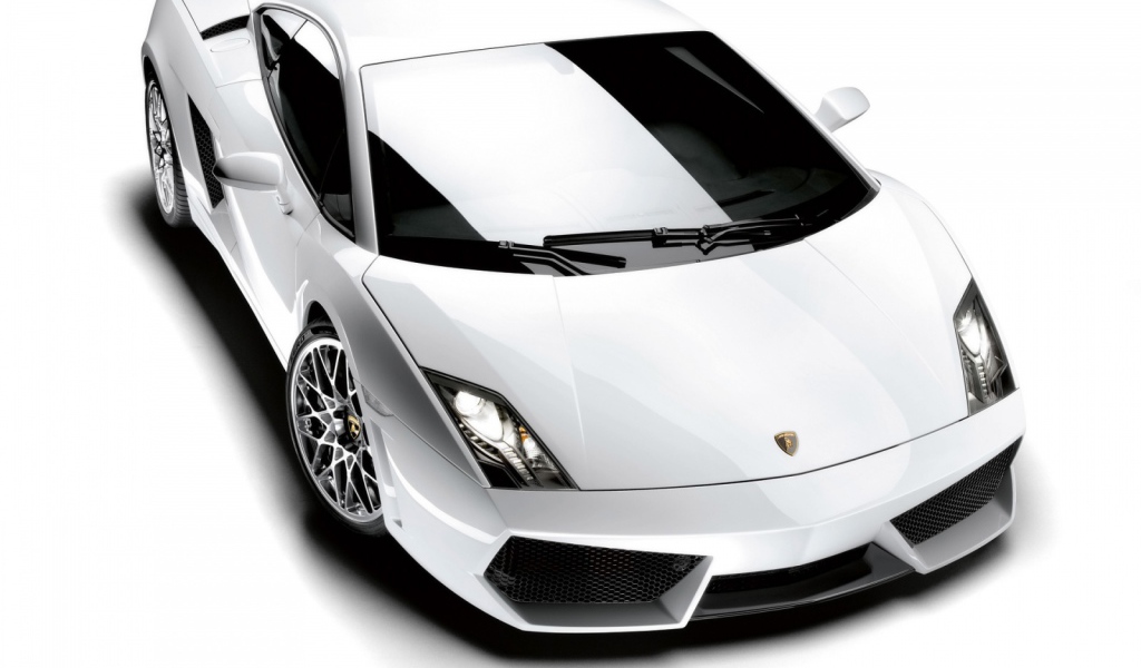 Белый Lamborghini Gallardo