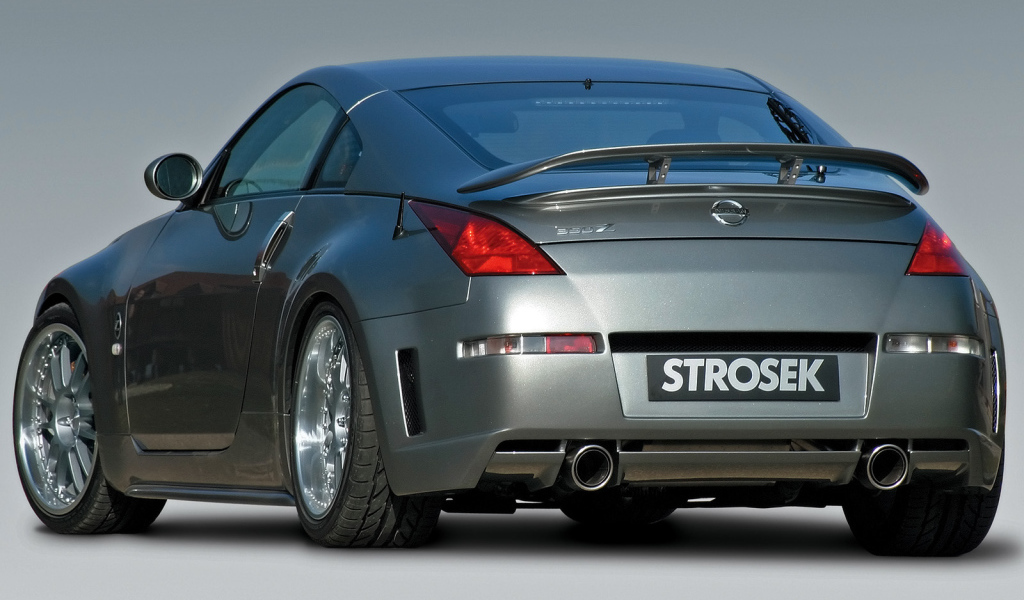 Strosek Nissan задний вид