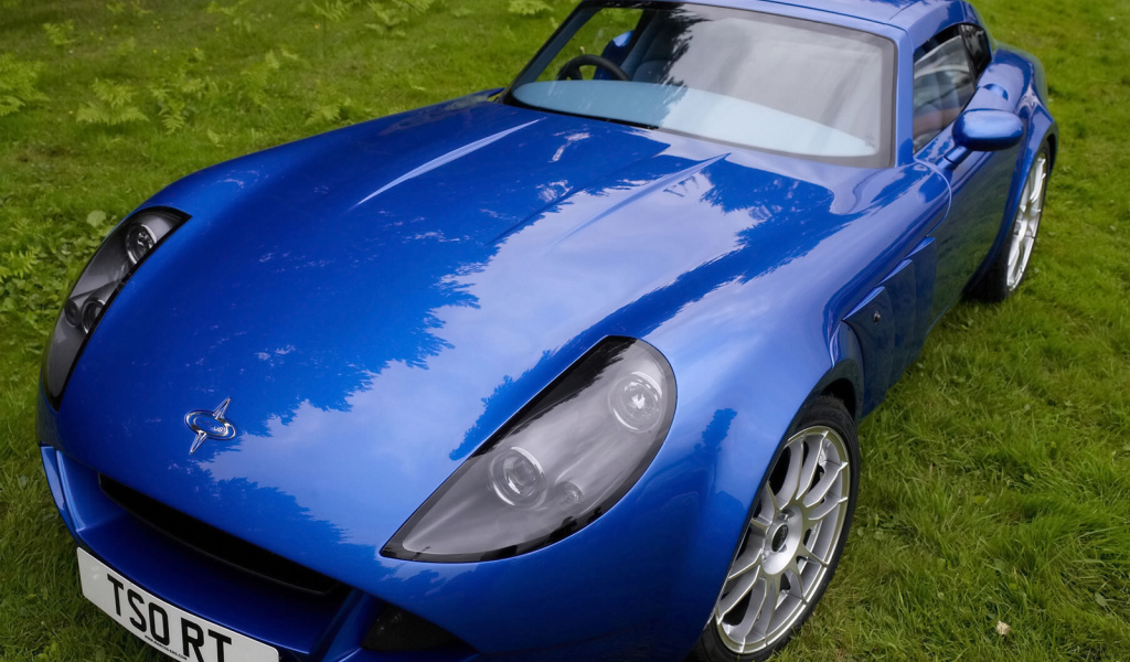 Синий Marcos TSO