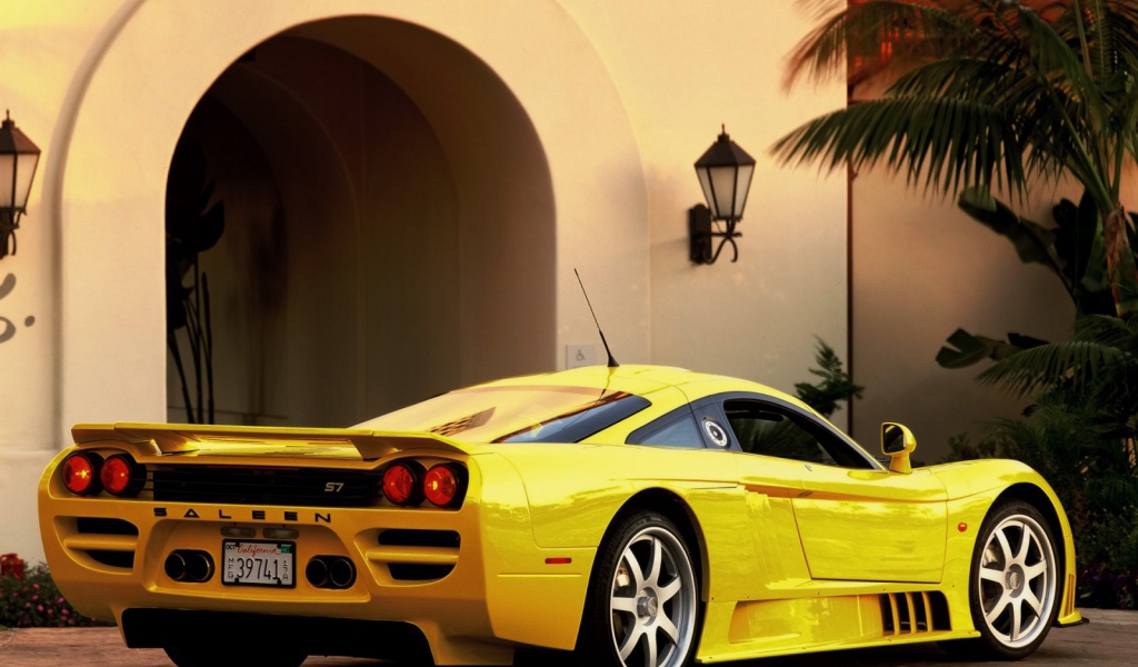 Saleen вид сзади