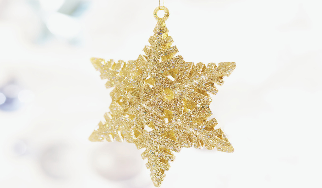 Рождественская звездочка